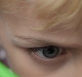 eye1_4.jpg eye1_4.jpg