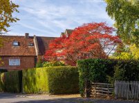 seasonal colours 5.jpg
