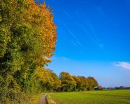 seasonal-colours-6.jpg