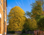 seasonal-colours-7.jpeg