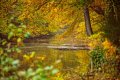 autumn 033-Edit.jpg