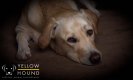 Marley-20.jpg Marley-20.jpg