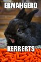 ermahgerd-bunny-carrots.jpg