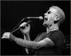 oysterband2147copy.jpg oysterband2147copy.jpg