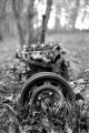 ImageUploadedByTalk Photography Forums1450995617.954667.jpg ImageUploadedByTalk Photography Forums1450995617.954667.jpg