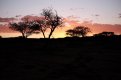DSCF5203.jpg