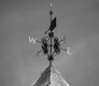 B&W Weather Vain straightened.jpg
