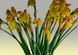 20160318_1473.jpg