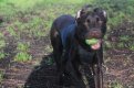 Monty Example Blurry.jpg Monty Example Blurry.jpg
