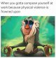 Rafiki.jpg