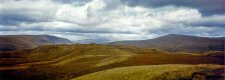 TP over hill, down dale.jpg TP over hill, down dale.jpg