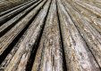20160504_1614.jpg