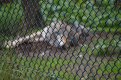 DSC01815.JPG DSC01815.JPG