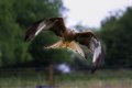 ImageUploadedByTalk Photography Forums1467274136.051809.jpg ImageUploadedByTalk Photography Forums1467274136.051809.jpg