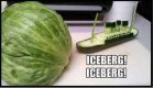 iceberg.jpg