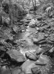 2016-7-15,  Devils Water, GA645, FP4+, Firstcall Dev,  001.jpg