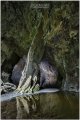 Cathedral Caverns - David Goodier photography 1 - WEB.jpg Cathedral Caverns - David Goodier photography 1 - WEB.jpg
