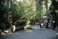 Capilano37.JPG