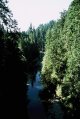 Capilano20.JPG