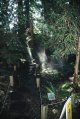 Capilano13.JPG