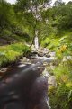waterfall 3.jpg