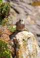 DSC_5356 - Copy.jpg