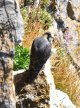 DSC_5399.jpg