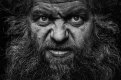 Snarl2.jpg