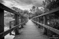 IMG_0342-Edit.jpg