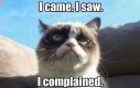 Angry-Cat-Meme-06.jpg