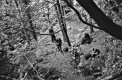 If you go into the woods today Steveo Raglansurf Niki Excalibur2 TP.jpg If you go into the woods today Steveo Raglansurf Niki Excalibur2 TP.jpg