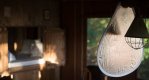 IMG_1478020106.980870.jpg