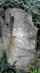 Stone .jpg