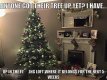 Tree.jpg Tree.jpg