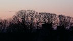 Wintery trees.jpg Wintery trees.jpg