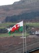 Welsh flag.jpg