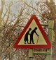 Autumnal sign.jpg