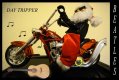 day tripper.jpg day tripper.jpg