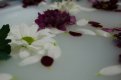 _20170107_161839.JPG _20170107_161839.JPG