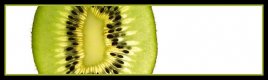 Kiwi.jpg