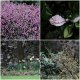 Spring flowers.jpg