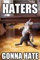 funny-cat-haters-gonna-hate-4815.jpg funny-cat-haters-gonna-hate-4815.jpg