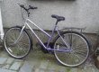 who mention bike.jpg