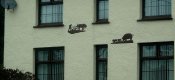 weather vanes.jpg