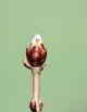 First day of Spring.jpg