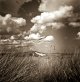 2013-7-26, Druridge, Coronet 12-Twenty, TMax 100, Rodinal stand, 1.jpg