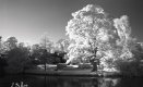 2_With_IR_Filter.jpg 2_With_IR_Filter.jpg