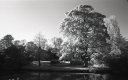 1_With_Red_Filter.jpg 1_With_Red_Filter.jpg