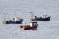 3 Little  boats.jpg