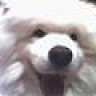 Samoyedman